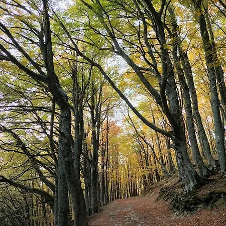 Aria Sottile Sassonetto